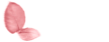 ALMA